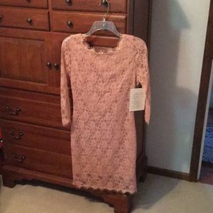 NWT Boston Proper Blush Eyelash lace sheath dress